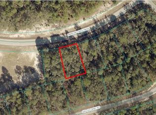 LOT 11 Marion Oaks Pass LOT 11, Ocala, FL 34473