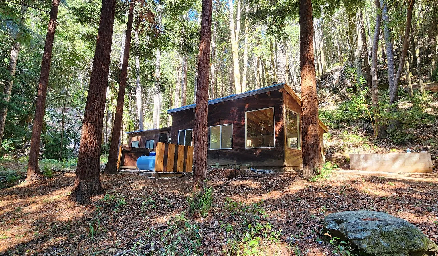 Cabin In the Wood! — Photo 4