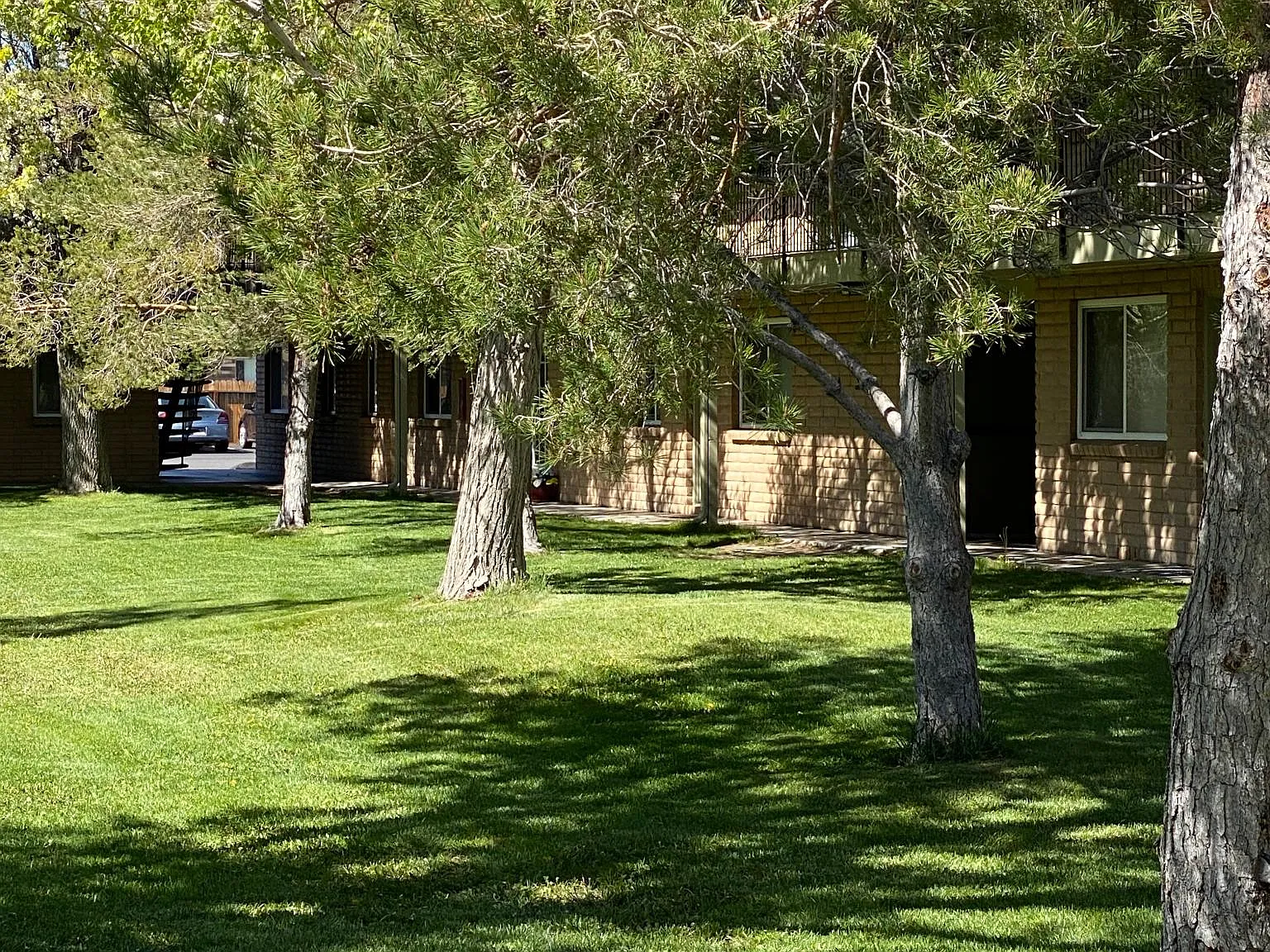 2990 Menlo Dr — Photo 3