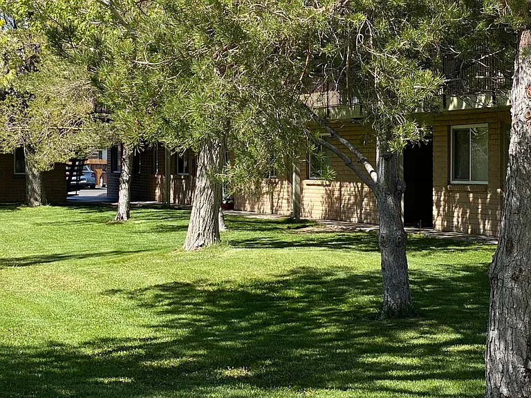2990 Menlo Dr — Photo 9