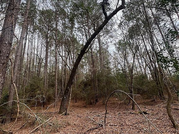 3rd image of Baxter Rd