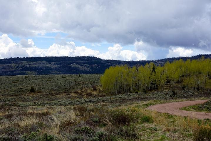 2nd image of 338 County Road 1901