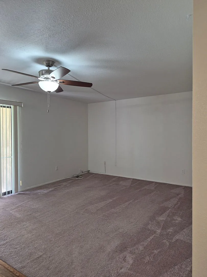 Affordable — Photo 4