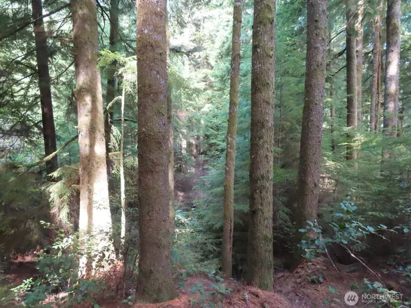 0 XXX State Route 101, South Bend, WA 98586