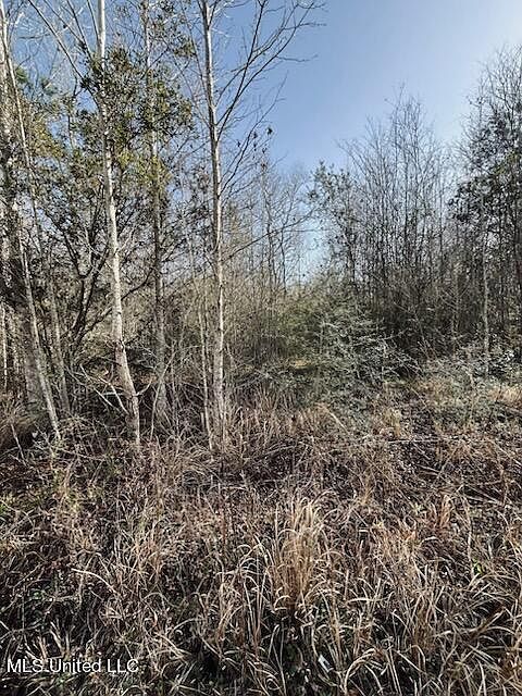 2nd image of 8529 Hyacinth Way