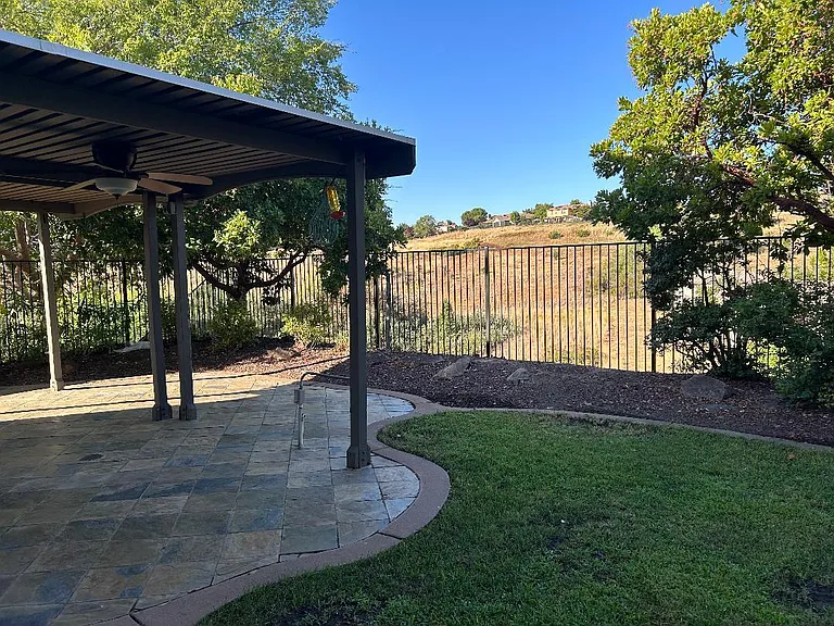 backyard 3