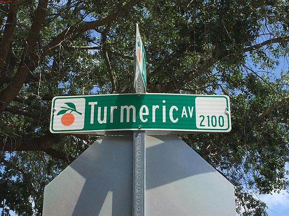 5th image of 2166 Turmeric Ave