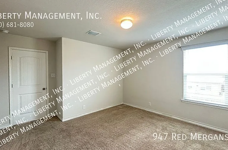 947 Red Merganser — Photo 22