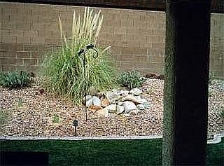 Back Yard Landscaping