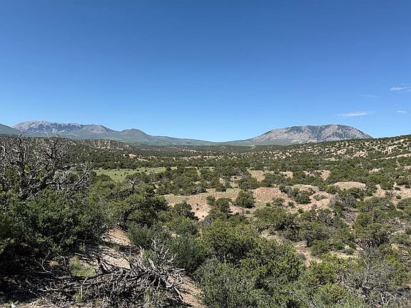 5th image of 25 Colorado Land Grazing