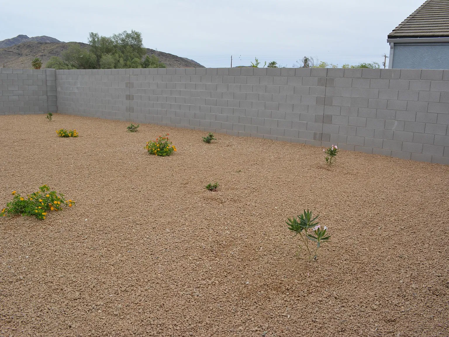 5 bed, 2245 sqft, $3,500 — Photo 4