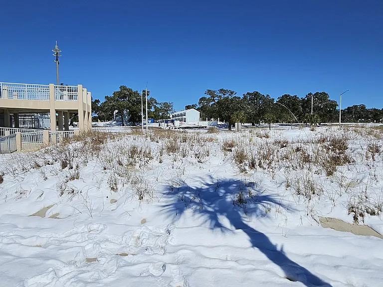 118 Coral Breeze Dr — Photo 15