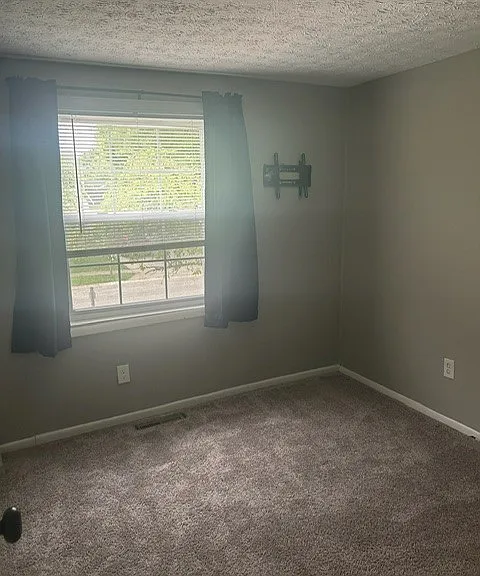 4215 Bitterroot Dr — Photo 2