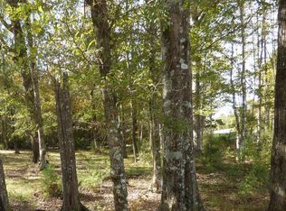445 Bogue Chitto Rd SW, Bogue Chitto, MS 39629