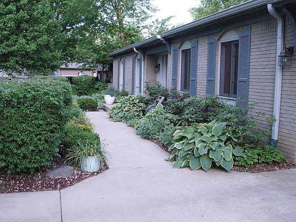 lots of plants and flowers