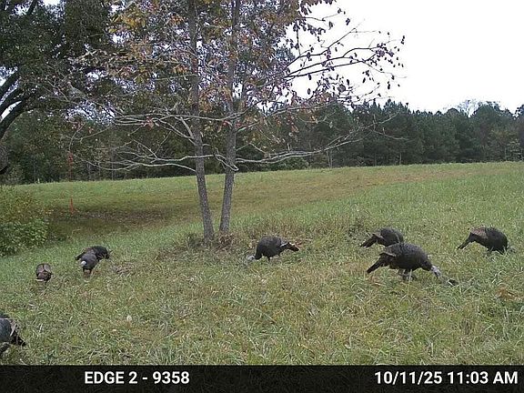 4th image of 0 Park Springs Rd