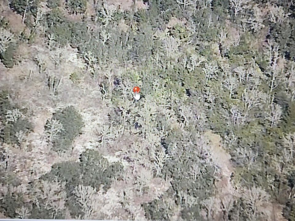 2nd image of 000 SW Paradise Heights Road