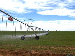 688 S Rr 8 Rd, Portales, NM 88130