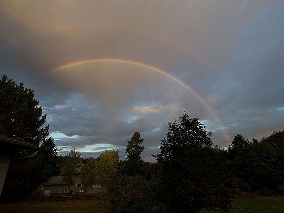 View to the east, Cascades
