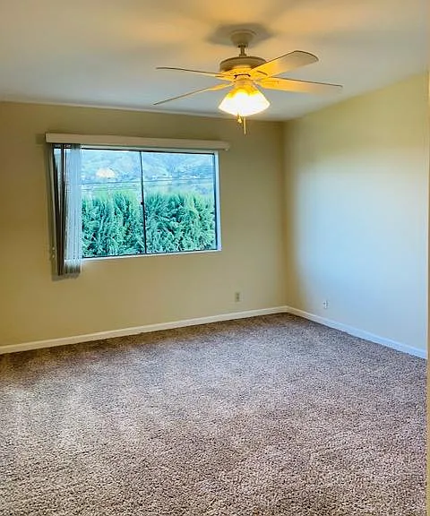 Bedroom with Carpet