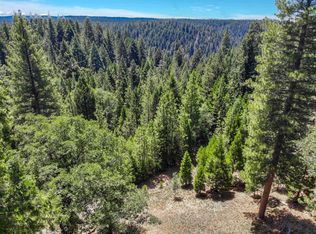 5641 Wildrose Dr, Grizzly Flats, CA