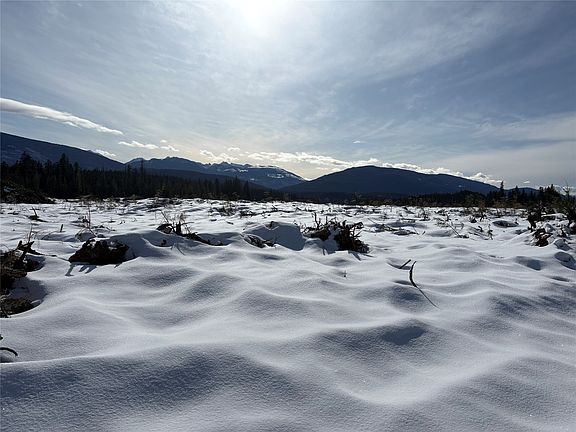 2nd image of 1020 Forest Service Rd