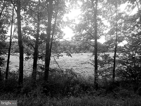 3rd image of Bear Hill Rd