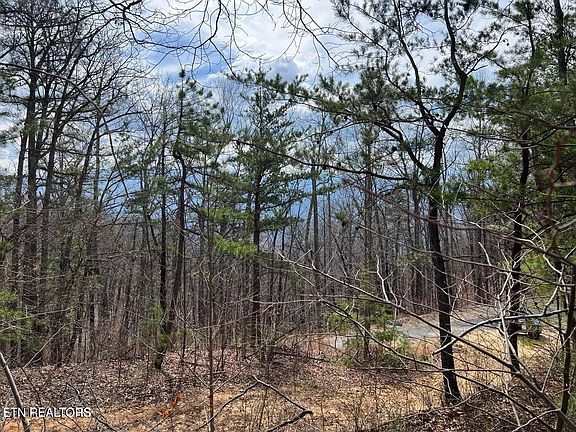 2nd image of 0 Chestnut Ridge Ct Lot 10-11