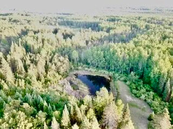 Smith Rd, Millersburg, MI 49759