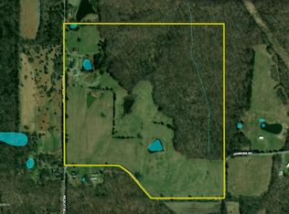 575 Wildcat Ln, Vienna, IL 62995