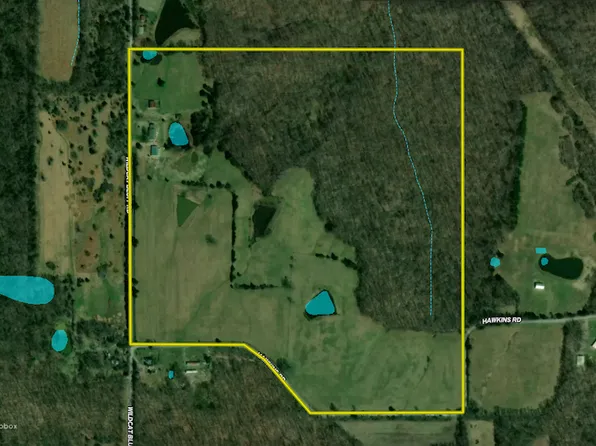 575 Wildcat Ln, Vienna, IL 62995