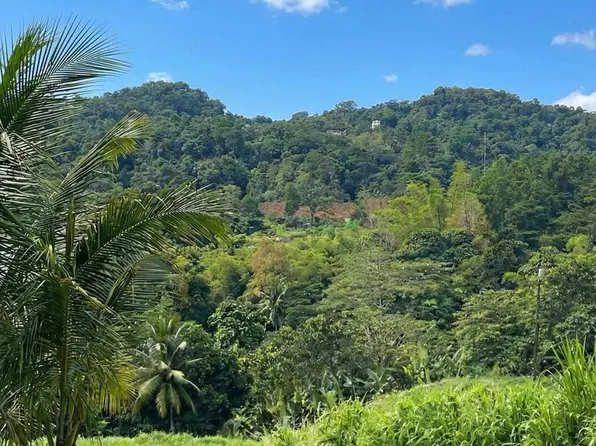 Lote 33 Sector Los Benites Pr #84, San Juan, PR 00926