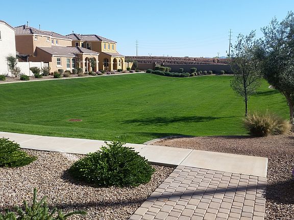 Front Yard