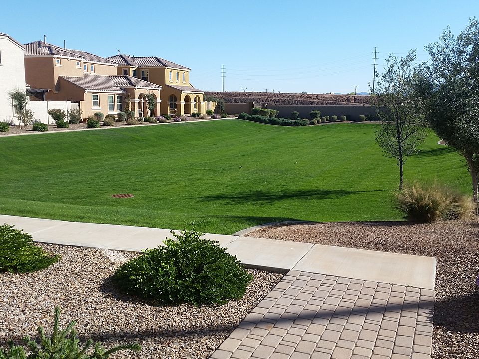 Front Yard
