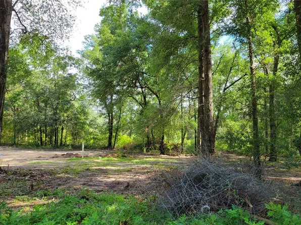 9991 NE 82nd Pl, Bronson, FL 32621