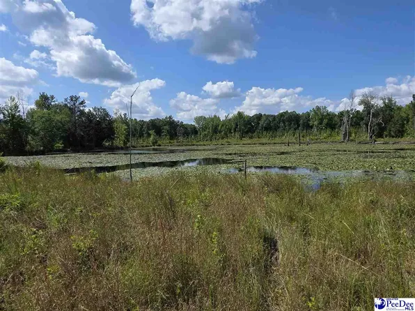 0 Hillian Edwards Rd, Cheraw, SC 29520