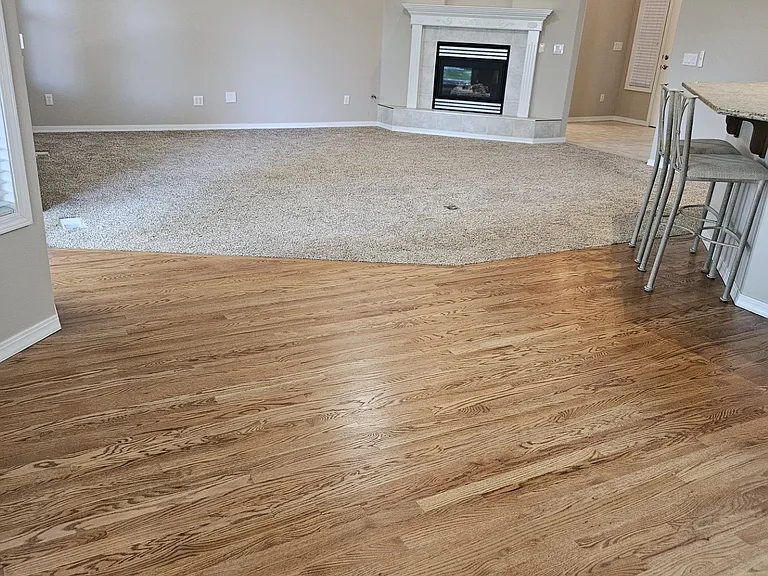 Living room/Dining room