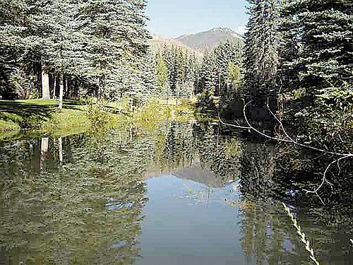 2nd image of 7 Boletus Creek Dr