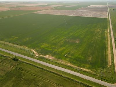 Fm 2163, O'Brien, TX, 79539