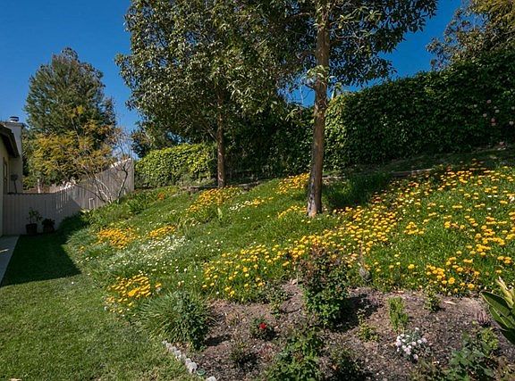 4690 Via Dulce-MLS_Size-003-20-Side Yard