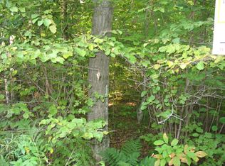 South Shore Dr, wabeno, WI 54566