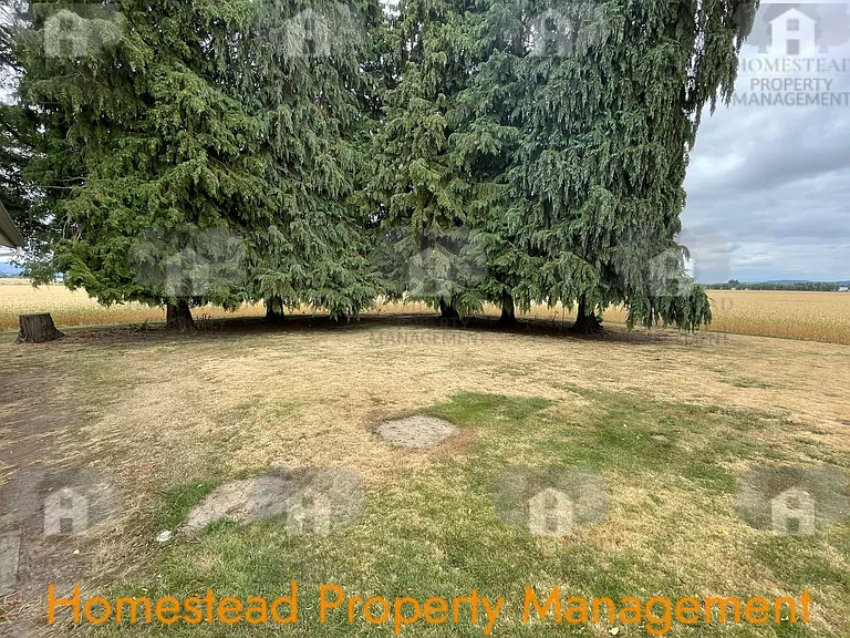 8555 Clow Corner Rd — Photo 22