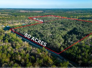 0 Otho Sellers Rd, Richton, MS 39476