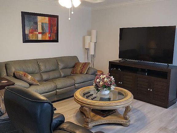 Leather & 65inch Roku