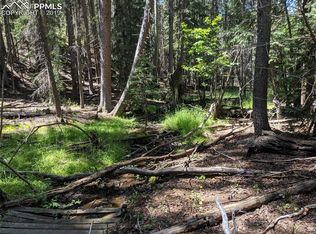 592 Spring Valley Ln, Florissant, CO 80816