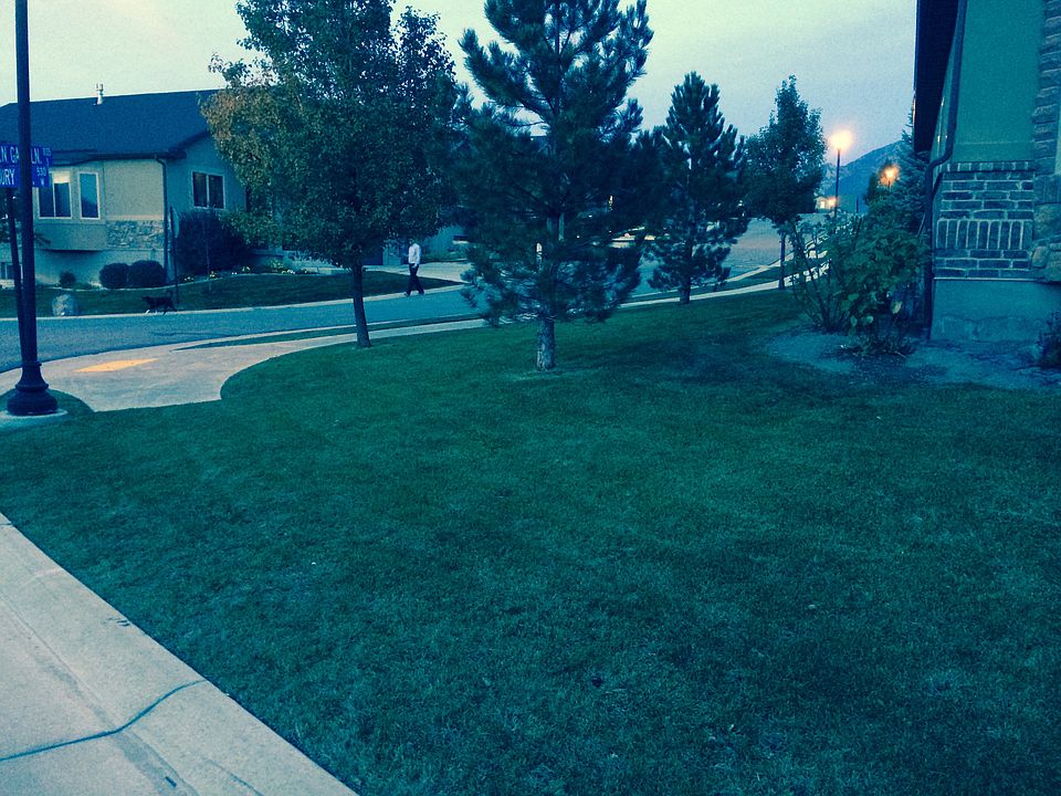 1st image of 11153 S Cadbury Dr