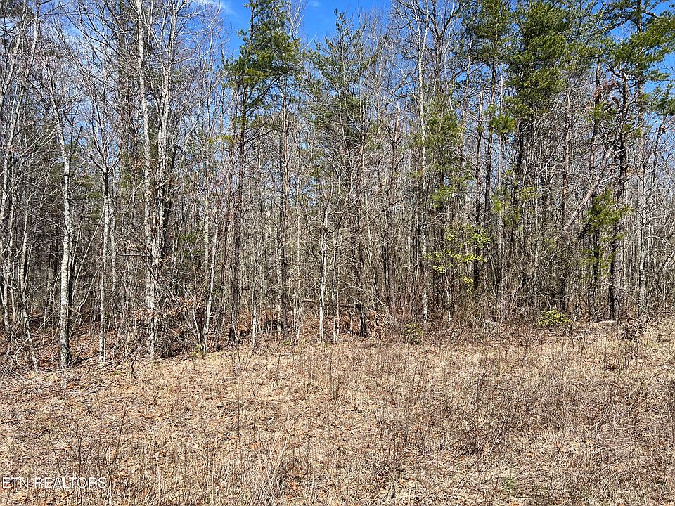 1st image of 17 Pine Breeze Dr