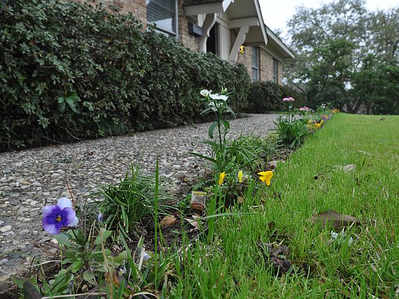 Flower-lined Walk.
