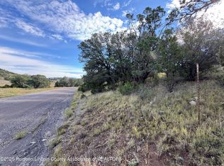 100 Little Smokey Rd, Capitan, NM 88316