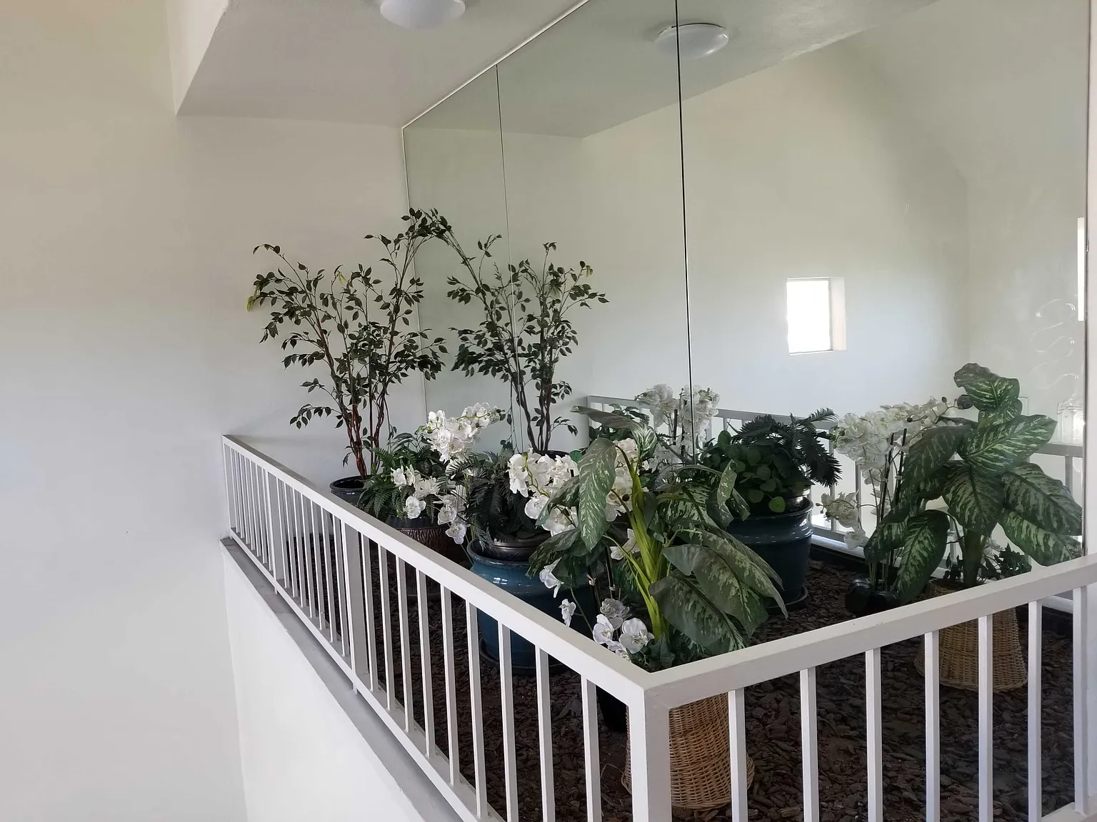 1 bed, $1,895 — Photo 2